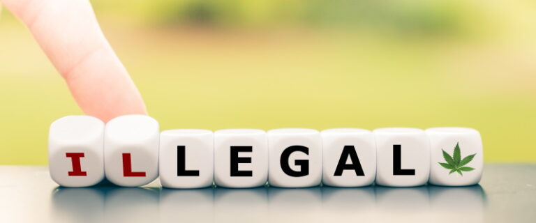 cannabis legal overview