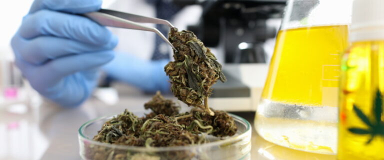Testing cannabis