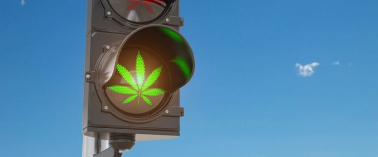 a stoplight with it's lights in the shape of a cannabis leaf, the green light is on