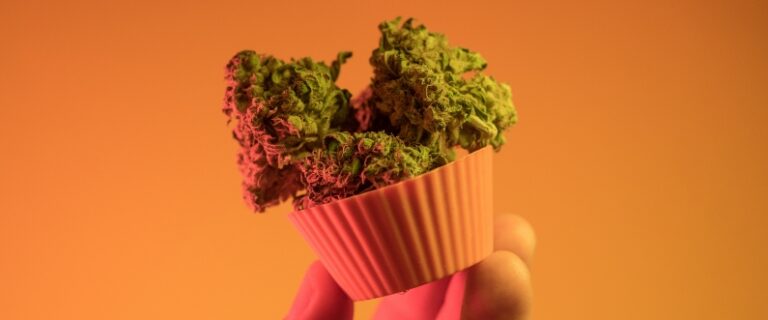 buds of cannabis in a silicon cupcake mold