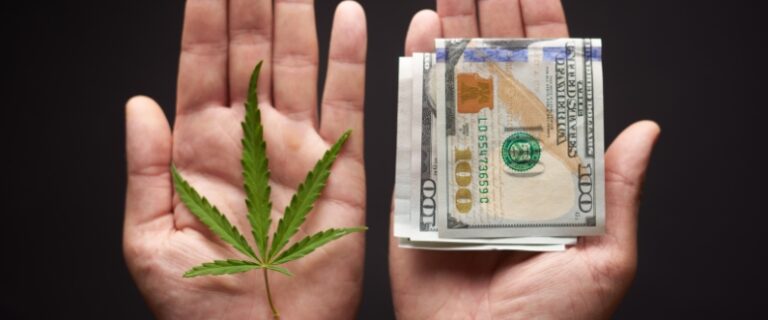 two open palms side by side, one holds a cannabis leaf, the other a bundle of money